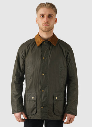 Light Weight Ashby - Archive Olive